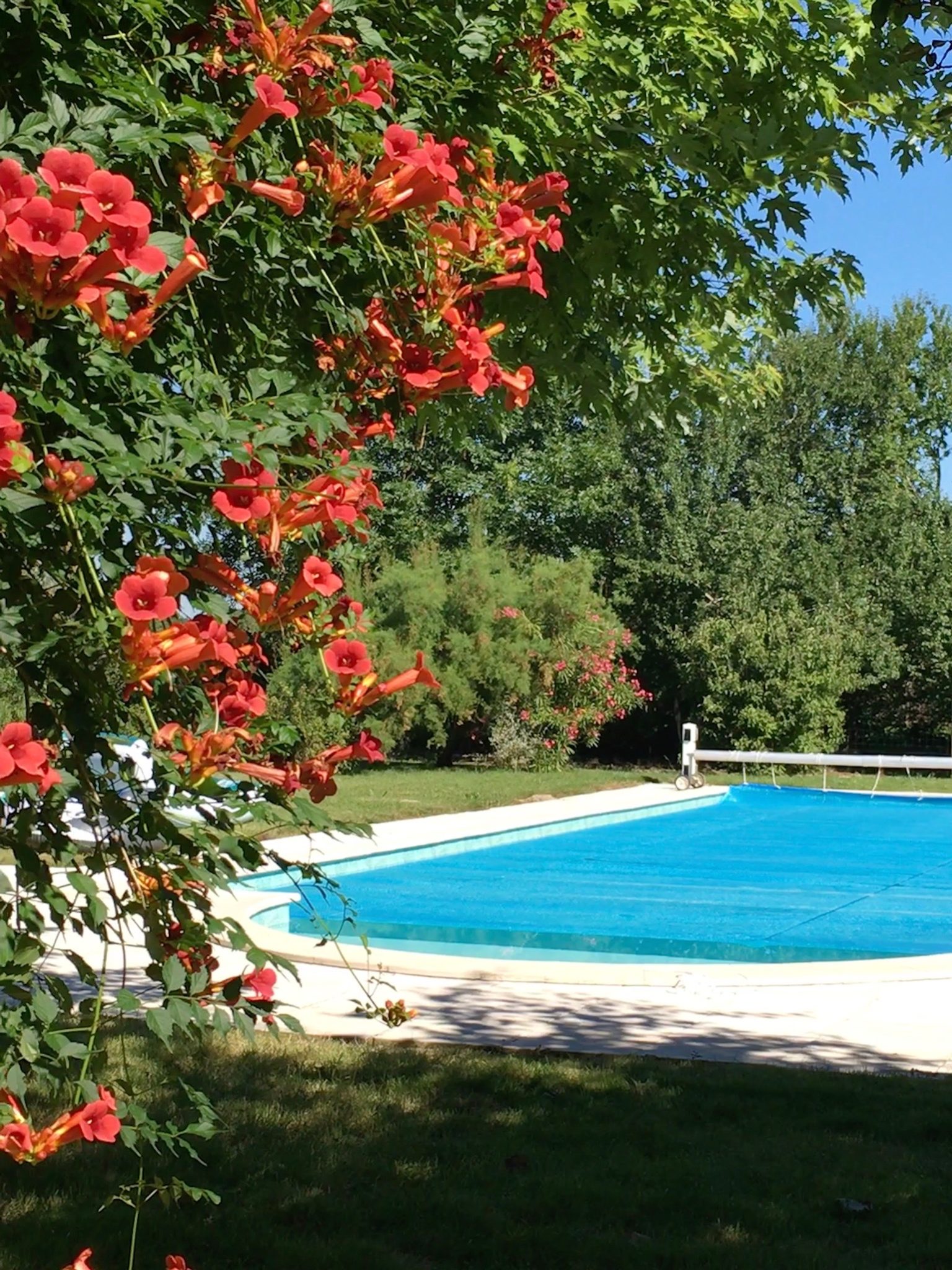 Swimming 2 | Domaine du Pignoulet, Gascony, France