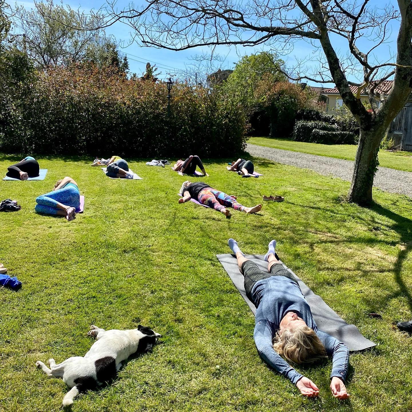 Relaxation al fresco including dogs!